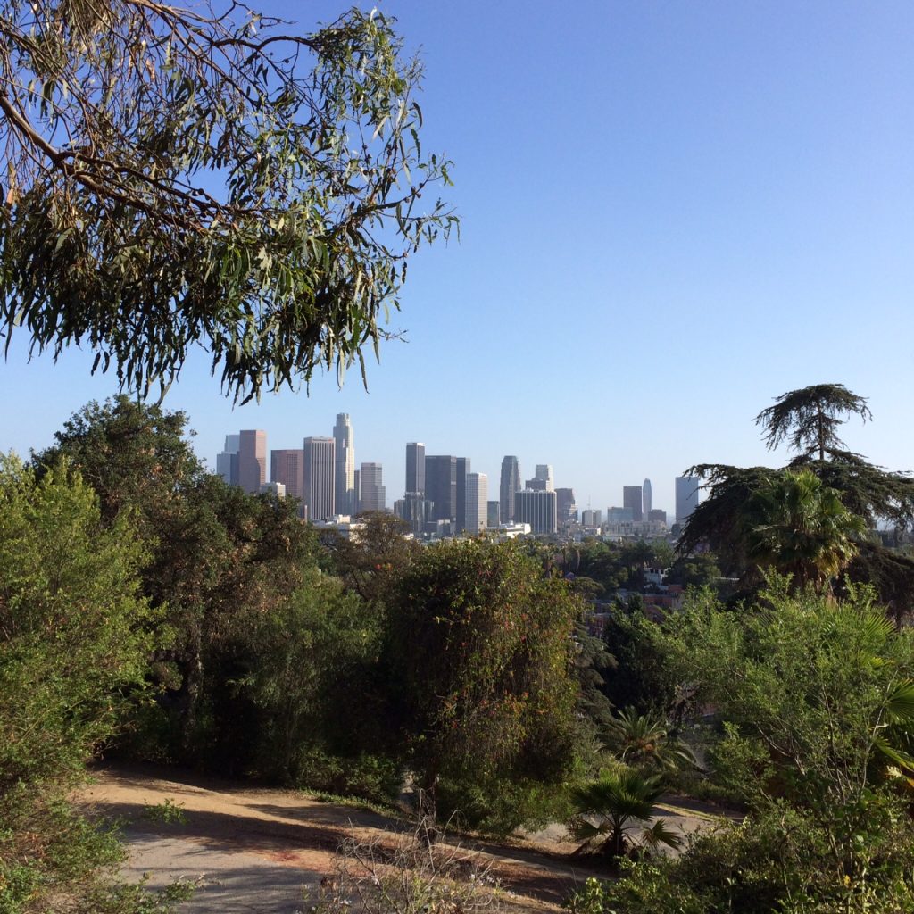 View of Downtown Los Angeles From Elysian Park