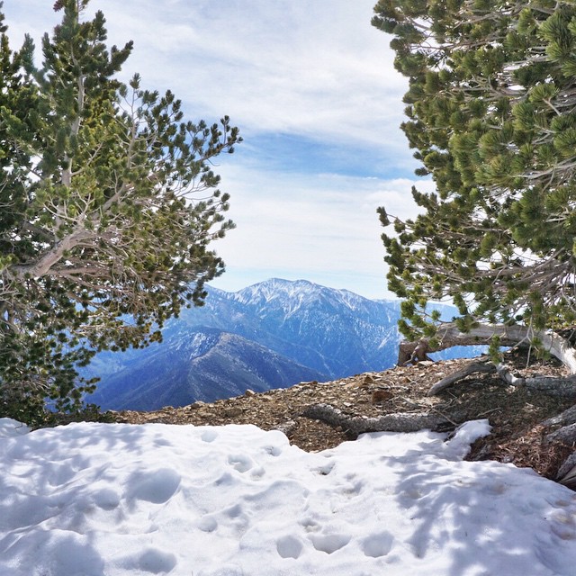 Top Intermediate LA Hikes: Mount Baden-Powell