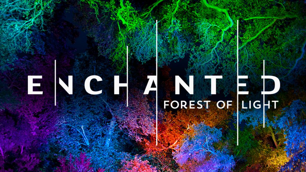 Things to Do in LA in January 2017; Enchanted Forest of Light