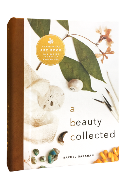 Gift Guide: Last Minute Gifts for Every One on Your List; a beauty collected book