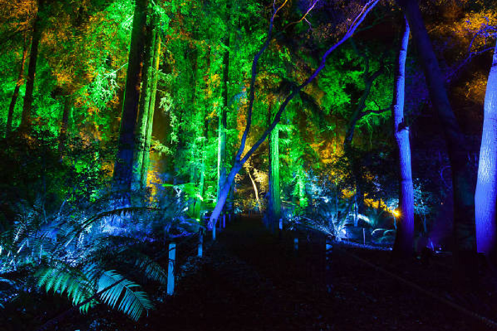 Things to Do in December Enchanted Forest