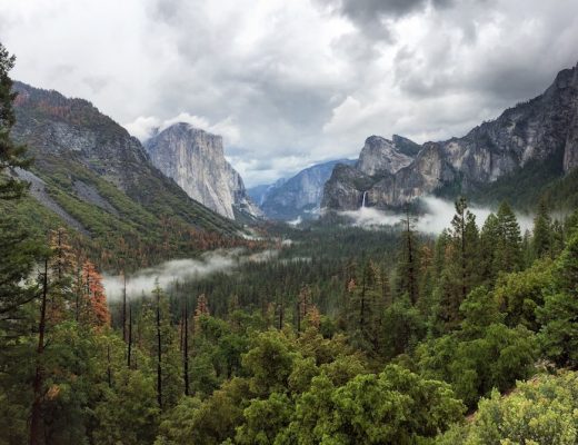A Weekend Getaway Guide: Yosemite National Park