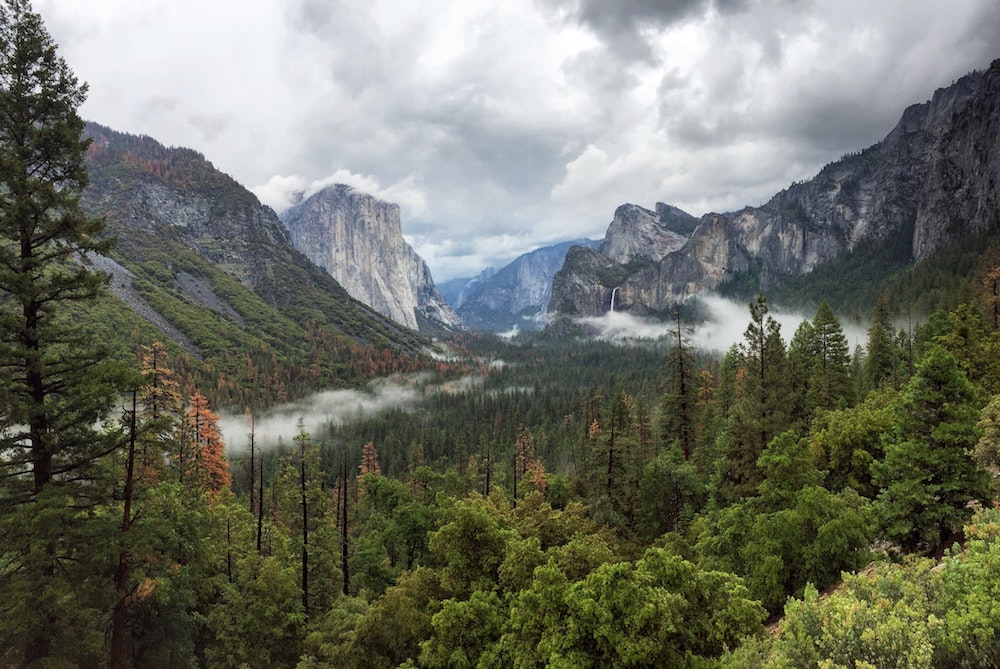 A Weekend Getaway Guide: Yosemite National Park