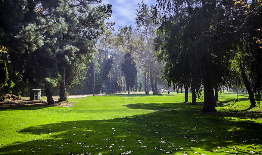 The Best Public Golf Courses in Los Angeles