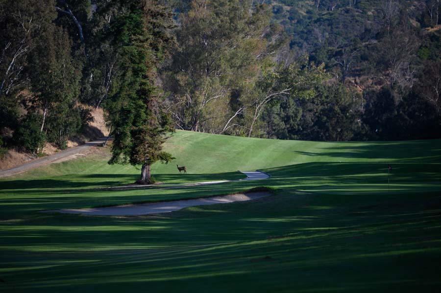 The Best Public Golf Courses in Los Angeles