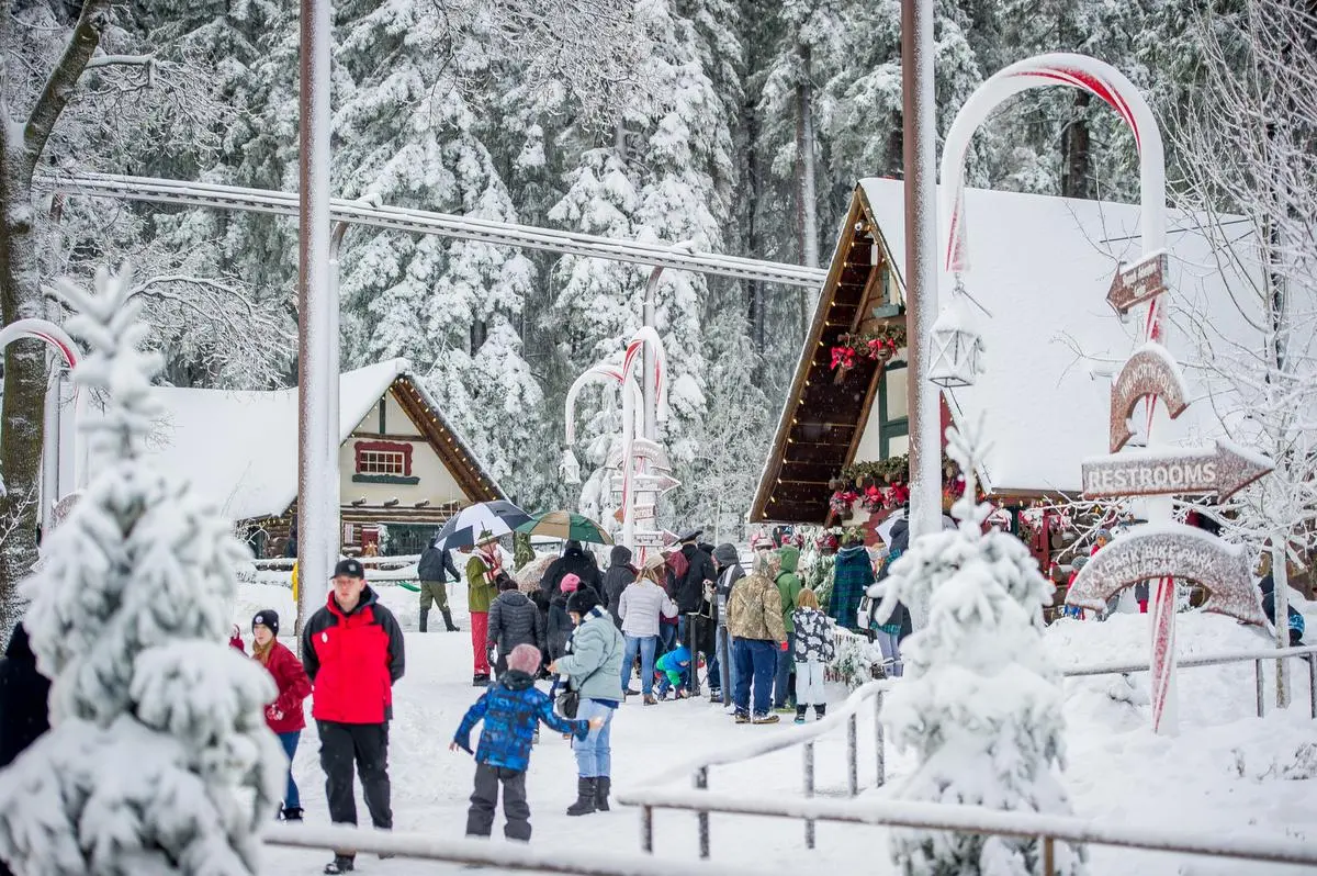 Things To Do in Lake Arrowhead: The Perfect Mountain Escape